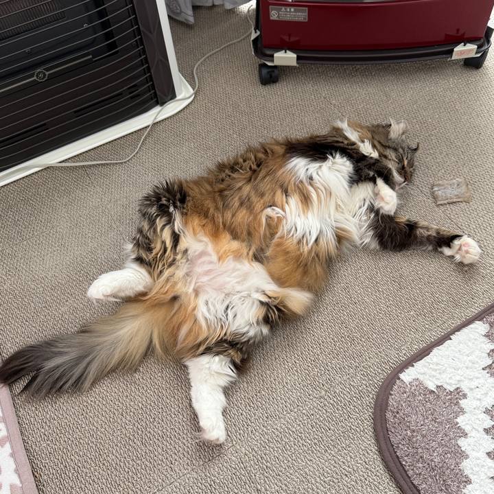 4c749875 951f 4419 ba3e 95a1017e5fd1 1773287890418