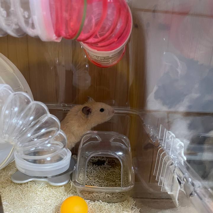 4c74ae26 06cc 4005 b44c e28adbde0d0d 1632835298246