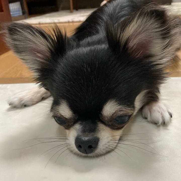 4c74c8cf ed3c 44e7 ac84 68cfd2901485 1621691341047