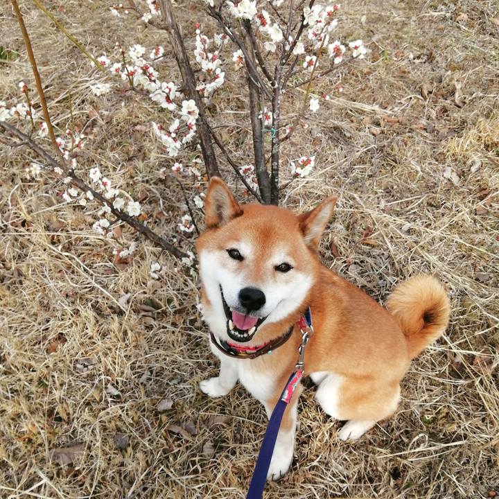 4c74e086 182e 4a6f 8439 85e435956e24 1677649775566