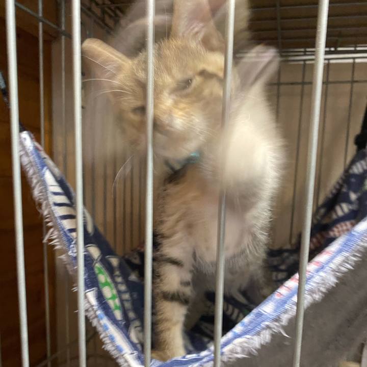 4c74ea3e fc19 4da1 84ee 2820cb46786d 1622082003711