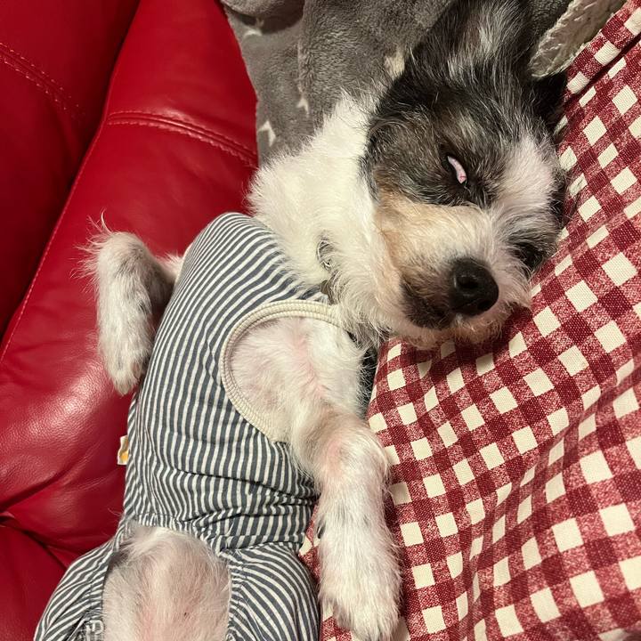 4c74fb76 1320 405d af19 3a6961c1bc40 1753060600092