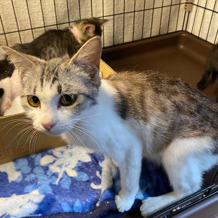 4c754526 c1a5 4901 b030 dcd9801b0128 1749289531364