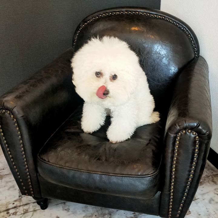 4c754ee4 3e5d 44d9 b308 9c3da0d45b1b 1769941868503