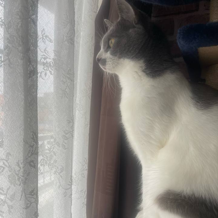 4c75519c 6fbe 443e b692 b80866015ce2 1638841073292