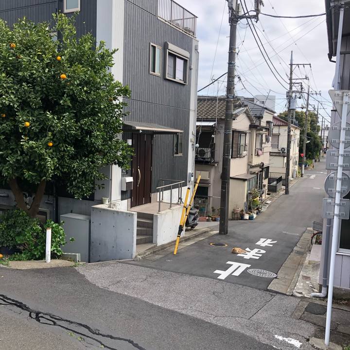 4c756f6f f16d 4721 96f3 6a862d567205 1649602579354