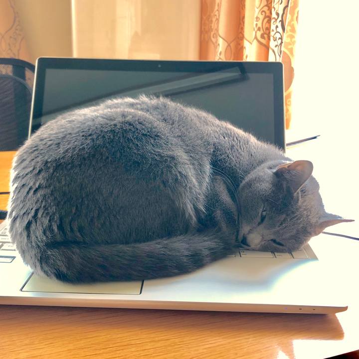 4c75cfee 3e96 4cbf b137 fd3b5483bb5b 1575091095260