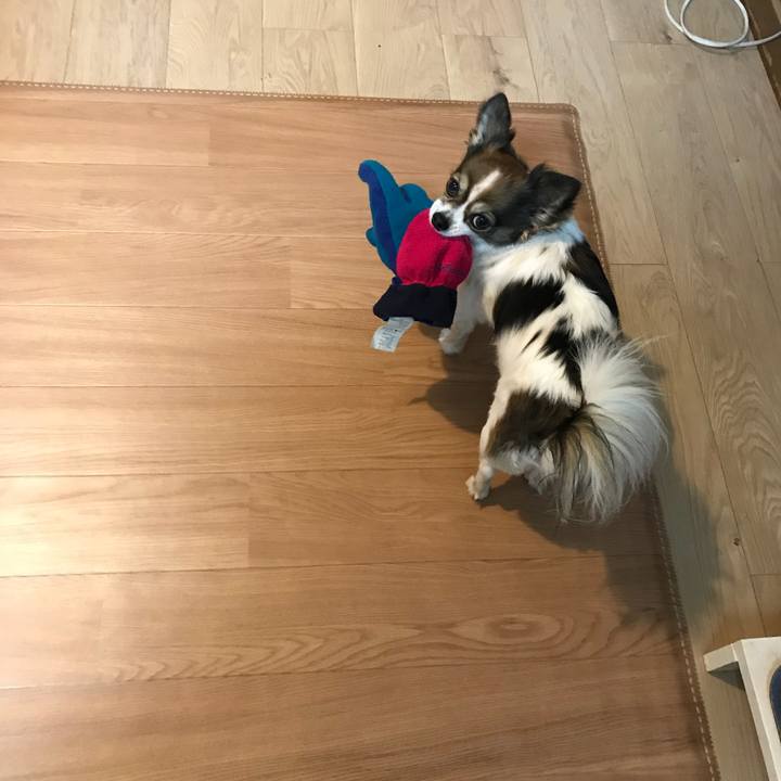 4c75edaf 3ebf 402e 95b7 fa716909ae97 1519299274379