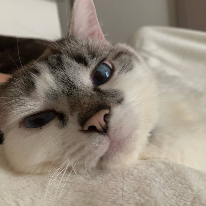 4c75ee66 a3ea 4f6d a455 db5df03d7372 1588484843397