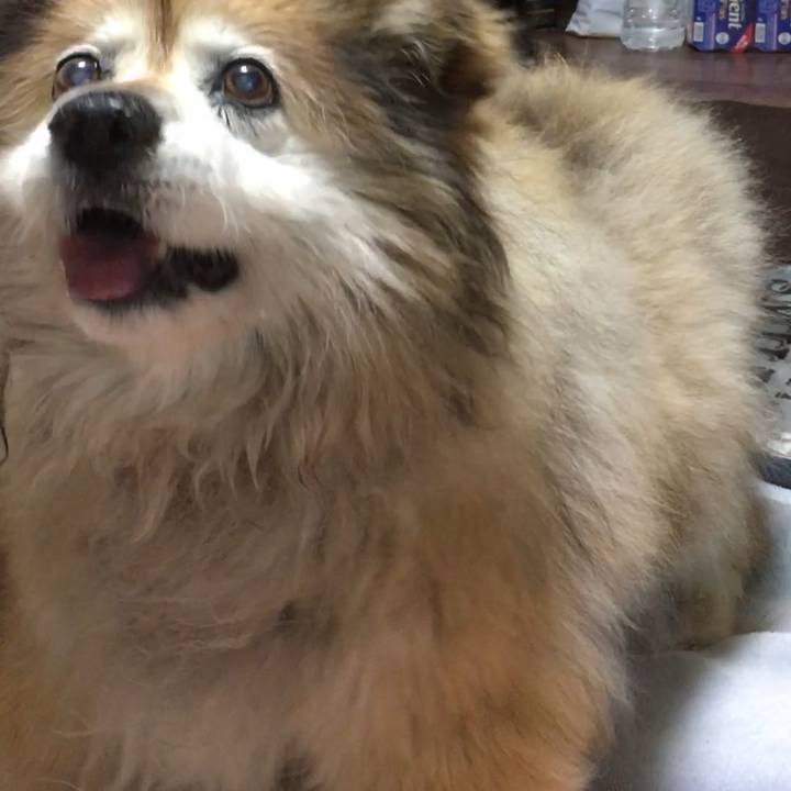 4c761d54 16f0 4a61 8c85 6347bea0d9ac 1599114719674