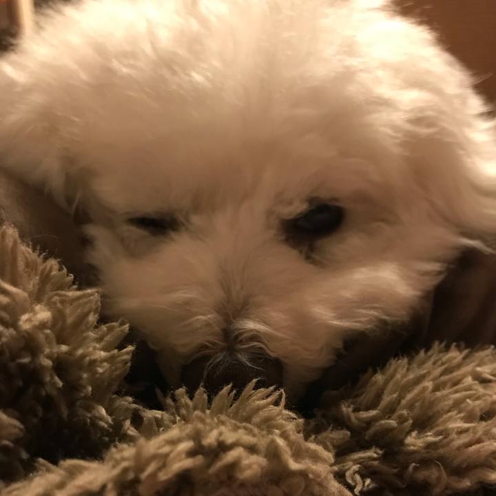 4c76202c 2265 468d 96ba 3f97ec5e903c 1573388999239