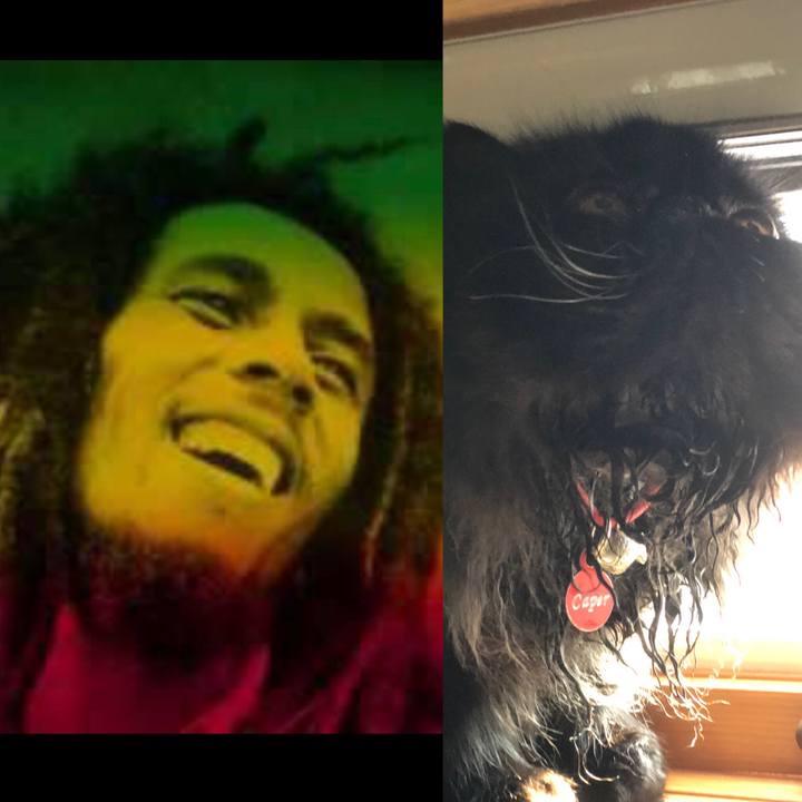 4c7636db 8981 435e a3df 8ea0f3bdef52 1560687132743