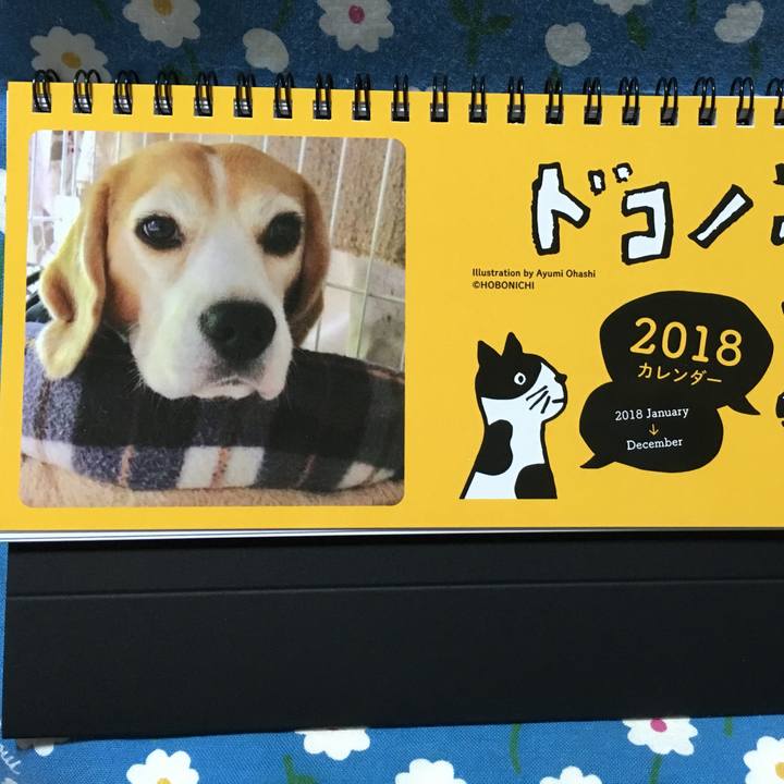 4c763dd4 9b2d 4c43 8647 6dcd8bd0b0cb 1733702115377