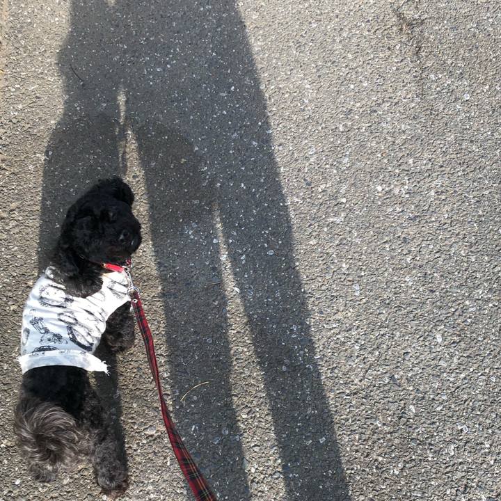 4c7658bf eaca 4b86 8c0c 2507ade9904a 1558232580988