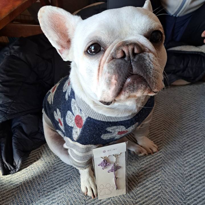 4c768d50 0ee4 4a8b 9862 8a63dacca0c3 1708162371526