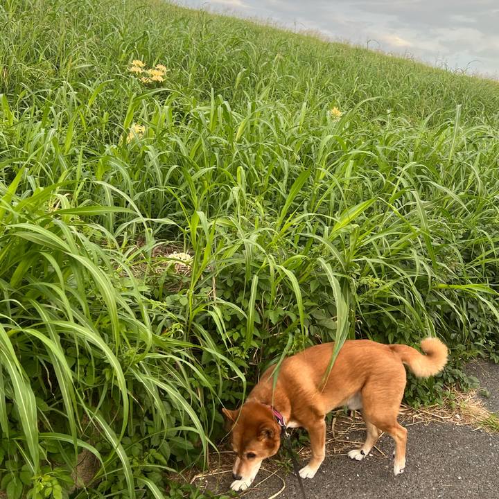 4c76b758 a8bb 4f90 8169 b689309b450a 1759203645715