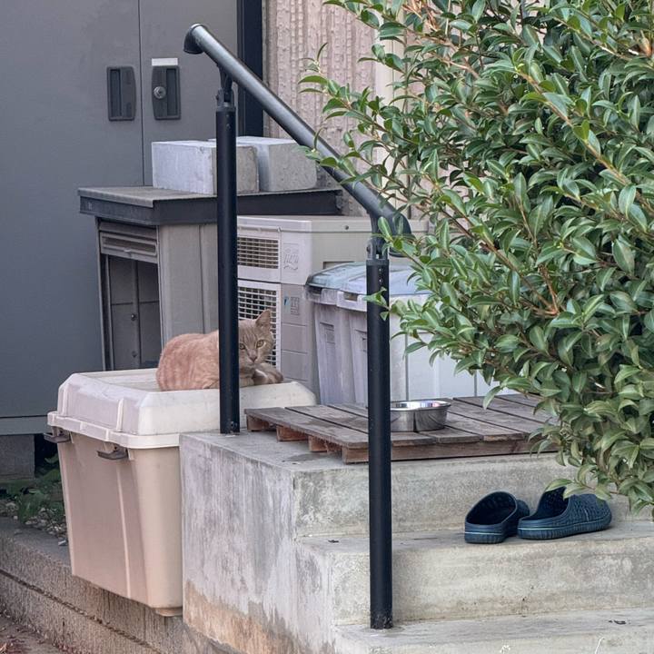 4c7700c4 471f 499e 8347 0ecb07e31cec 1754269012941