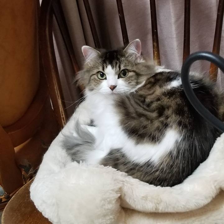 4c775008 3a5f 4979 a91f 220284bf43c1 1543678535823