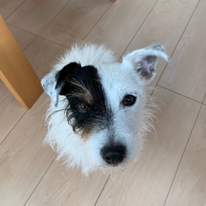 4c77807d 23b1 403c 80c9 60c04dd20a68 1605309546161