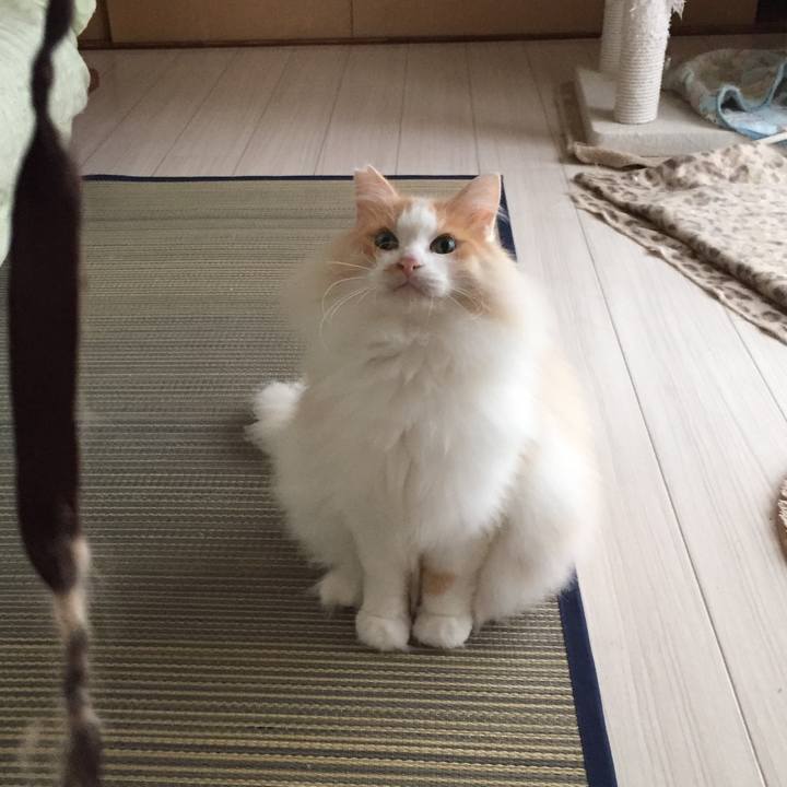 4c778751 eabe 4f5d 93df 1d0a8497bb83 1533339110994