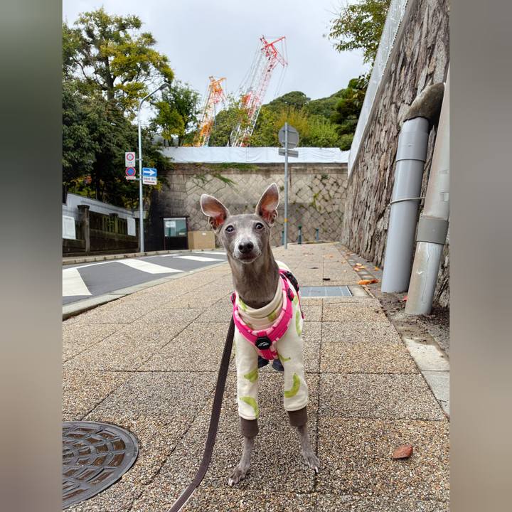 4c7798f9 bd5c 436f 99a6 228f35834166 1764151787527