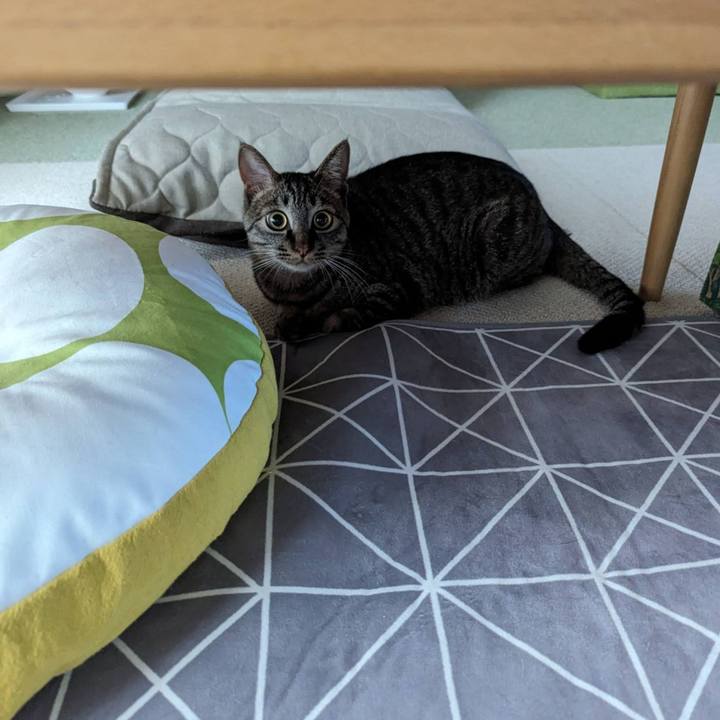 4c77b459 ac1f 4e68 8445 02051aab74a5 1715075014899