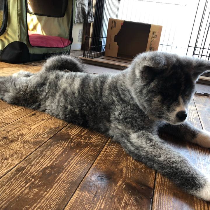 4c781364 7df3 4cc9 a4a3 4976f5048fc9 1552947995380