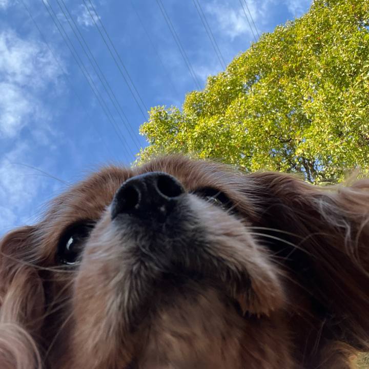 4c78184f bbfc 43c2 9aec c5ed09b0f5a0 1762824554332