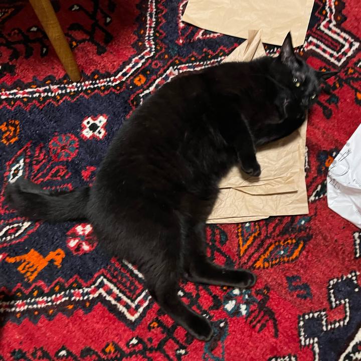 4c783a18 9c45 454b 8082 5e3e429ef125 1686483343256