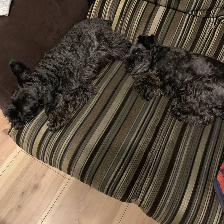 4c786376 cc26 453c ac49 6b6f8b695926 1620301799949