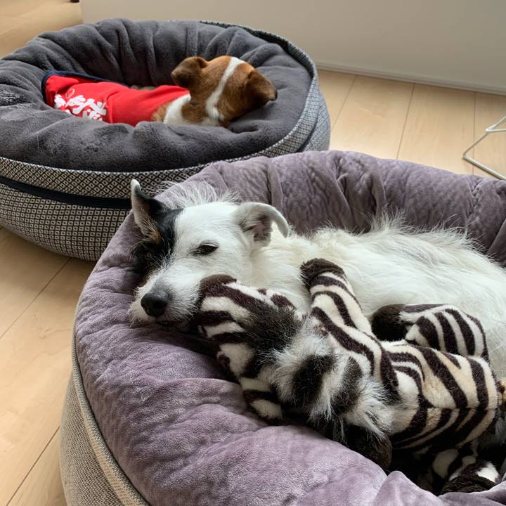 4c78d593 1aa7 473a a264 4ba2bab26887 1622782451278