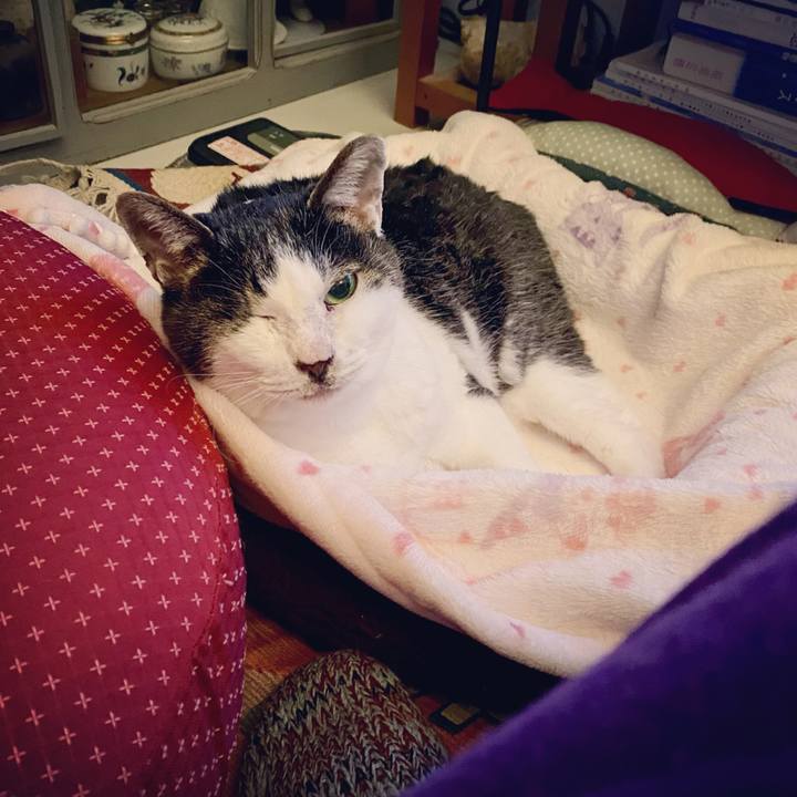 4c790a66 7ba0 4413 a7d6 00b9df2ed187 1639825750643