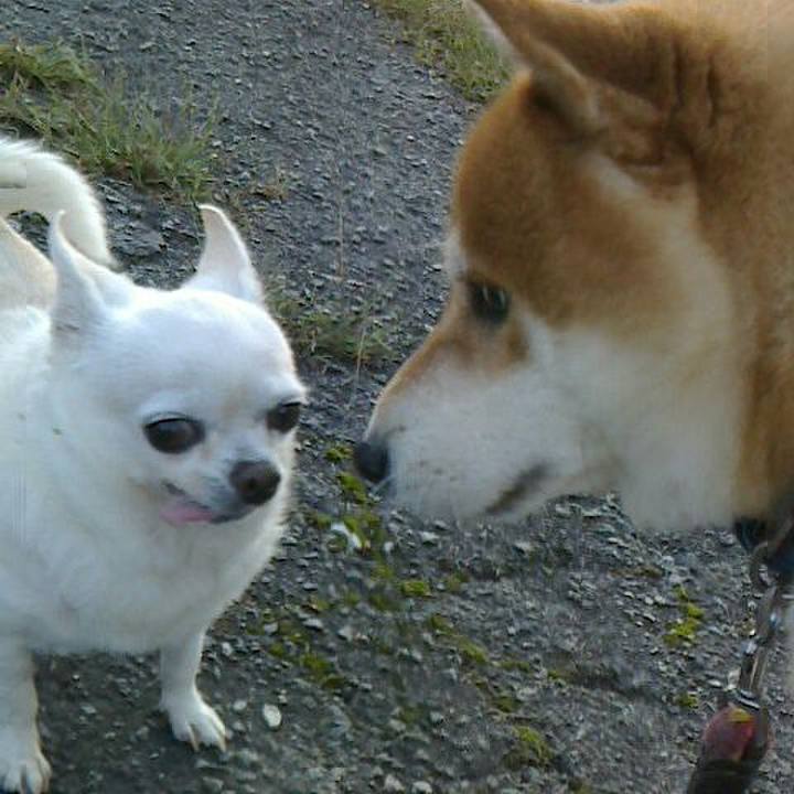 4c7938dd b462 4b35 88cd 4a6d50ca8f5d 1538973879414