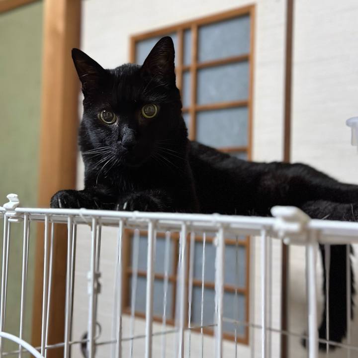 4c7960cf 50c6 4926 9102 eb879f5bcce3 1696125503257