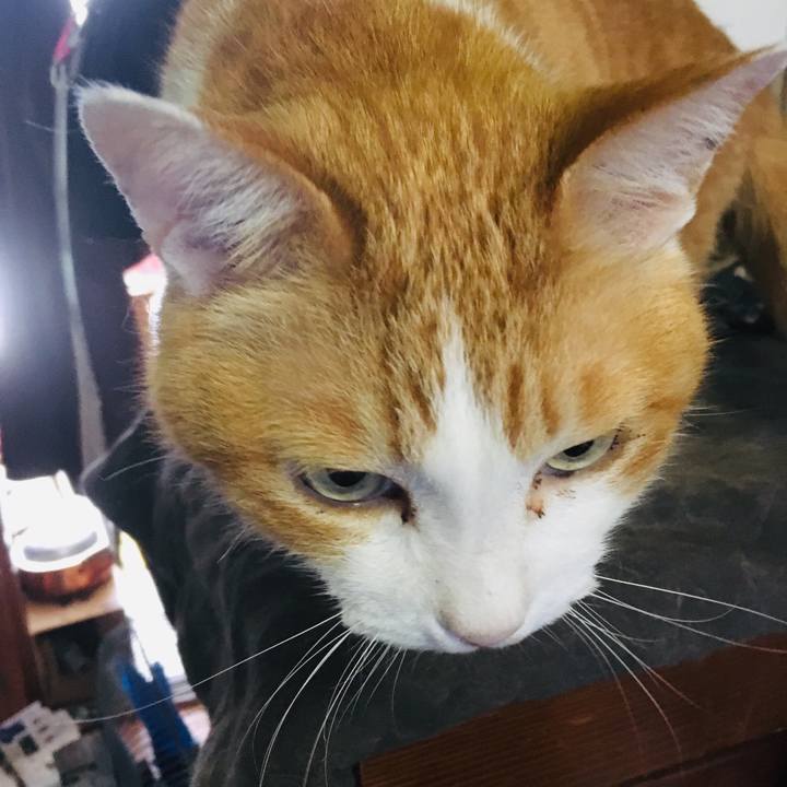 4c797237 308c 4c17 8f6f f85ad15f1e07 1557265951056