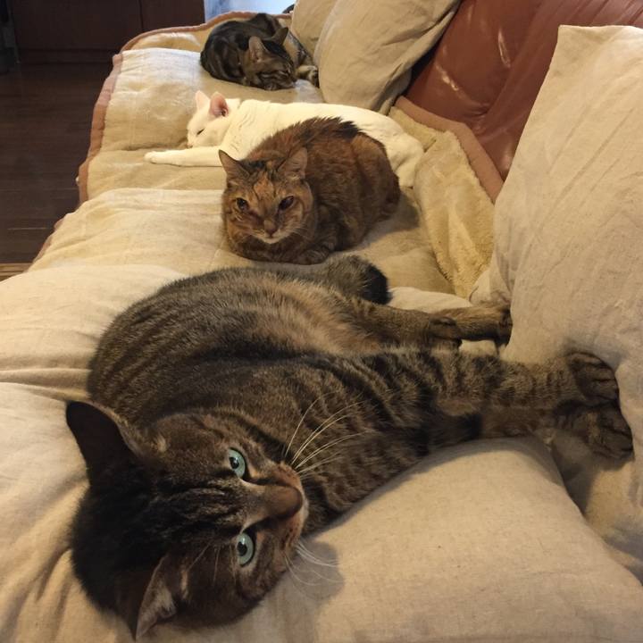 4c7991ae 3f45 4102 9948 33c50b3b0053 1509008188283