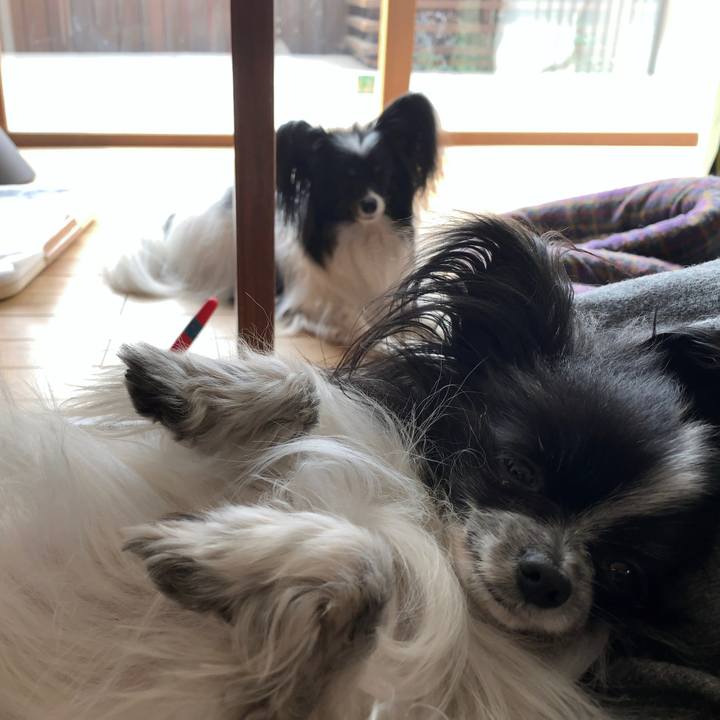 4c7992ca 3dca 4b3b b54c faacb2a49e94 1552700018707