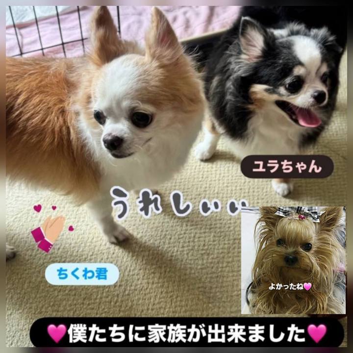 4c79a211 1fc7 4d8f a830 5ff9c04c4be5 1756623074883