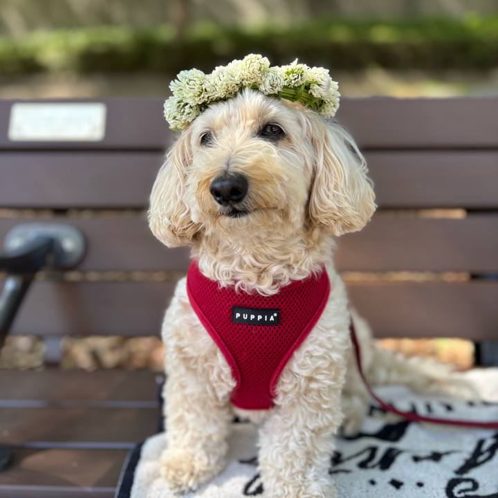 4c79a2c9 9d0a 470a 9feb e50301900873 1775981943039