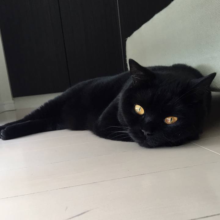 4c79a5c6 c3bb 4399 aa88 dffea66c5530 1560823363541