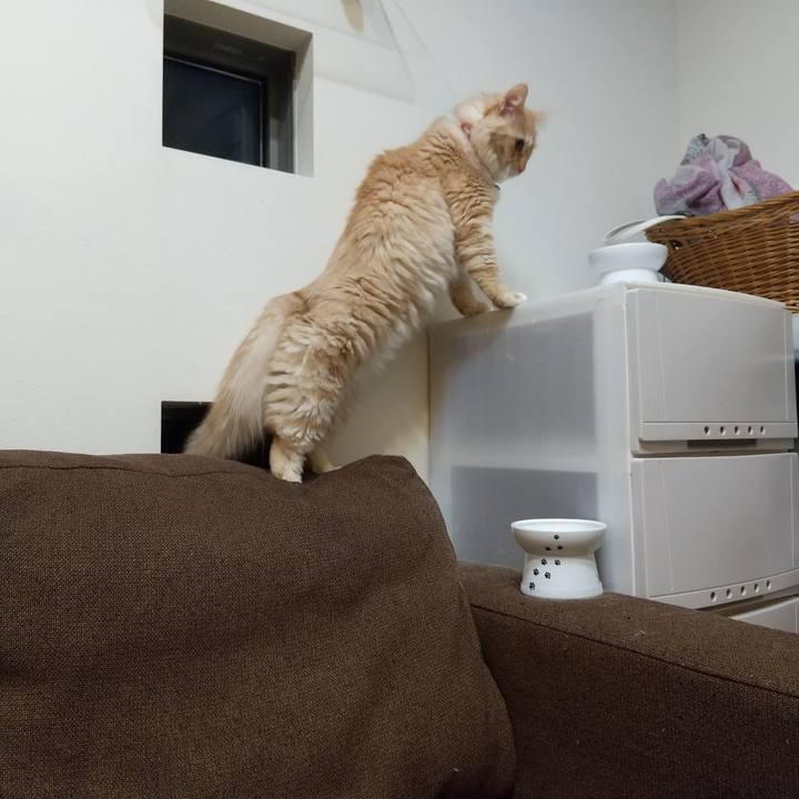 4c79baf0 f341 49df 825b d1ed9ae75c7a 1637495397096