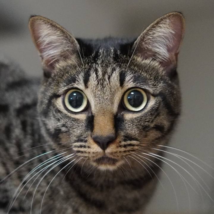 4c79f5ef ae49 40ef 8842 a52a7ee0a2e8 1661859277233