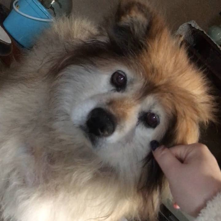 4c79f8ac 5ee4 4a69 b03d b65d287efc56 1551332314555