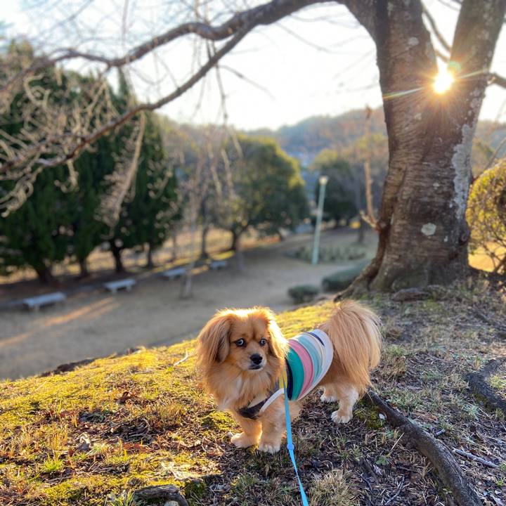 4c7a0689 3b5b 4d3e 9655 969803bb199a 1577577566329