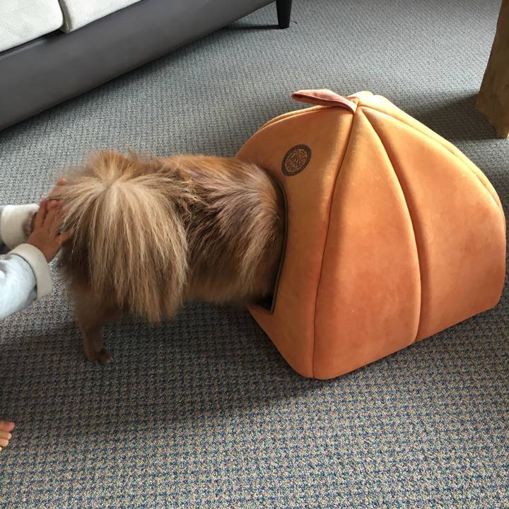 4c7a90a4 97fd 4969 916e 69b757c2a7f3 1511147390305