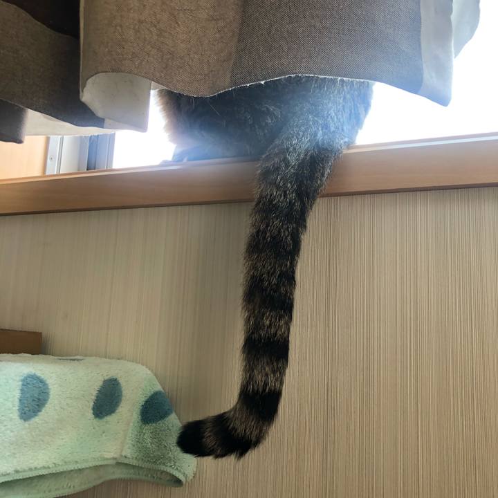 4c7aab03 487b 4a5b ba08 e9bdb5125e9f 1588314814693