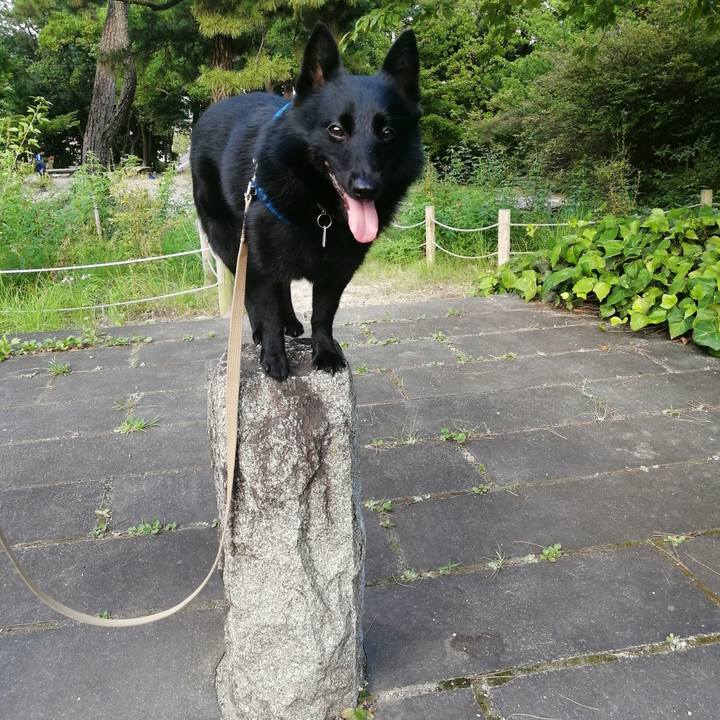 4c7ad1af 9a24 4b17 bbd0 14b27877e878 1627463444602