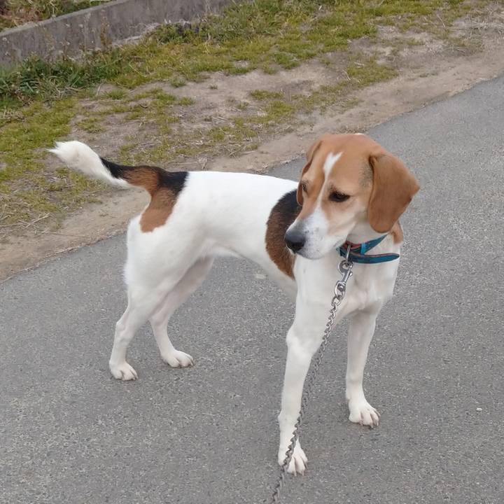 4c7aded0 f0b2 4d80 ae3b d05ee035803b 1615556960429