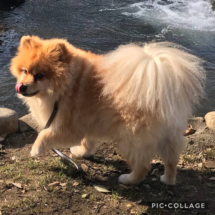 4c7b1f21 08b9 4355 9b95 46419e140c40 1513513390701