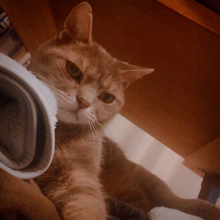 4c7b4a9f feeb 4034 ab0a aebe6da130dc 1510230672608